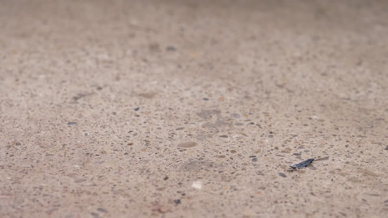 슬로우 모션, 근접 촬영에서 프레임 밖으로 망치 타격 계산기