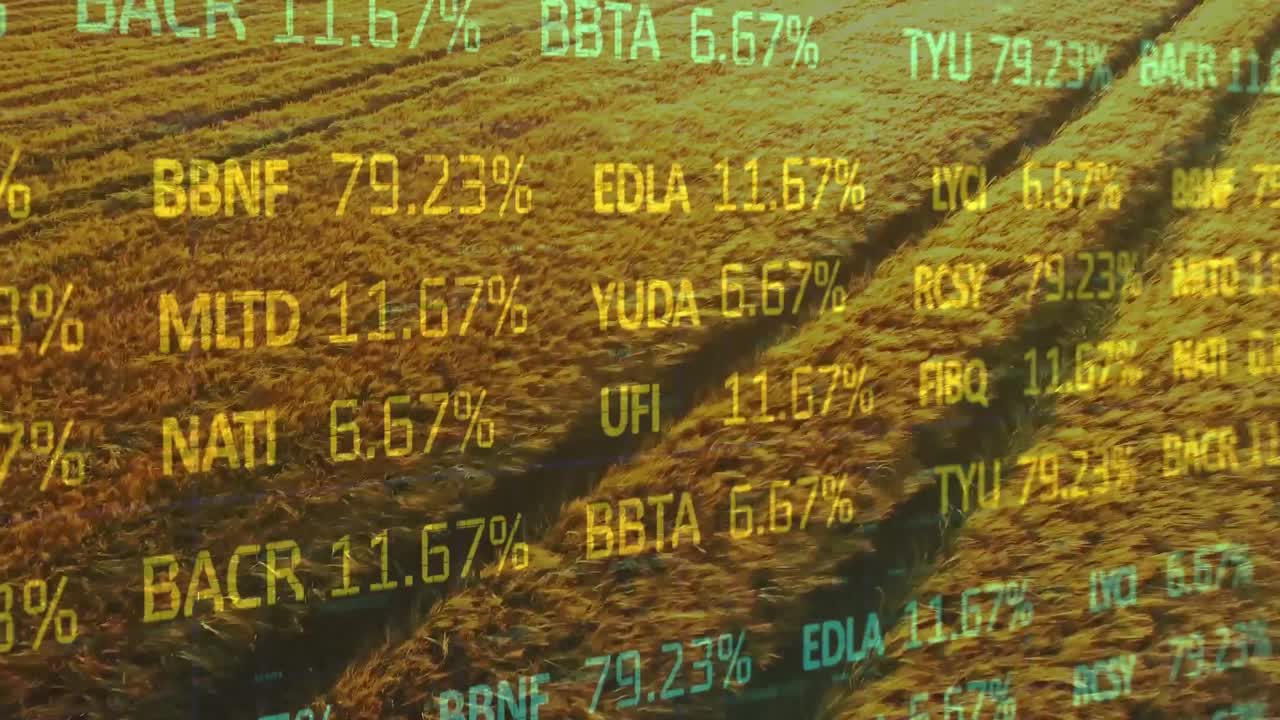 Animation der Finanzdatenverarbeitung über einem Agrarfeld