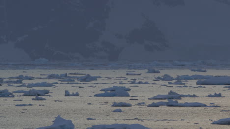 Iceberg-and-icefield