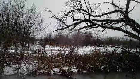 Traveling-down-a-Texas-country-road-in-slow-motion-with-big-trees-in-the-background-while-it-snows