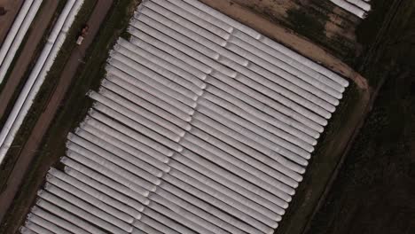 rows of many big silo bags outside