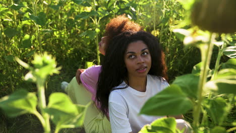 mujeres en un campo de girasoles