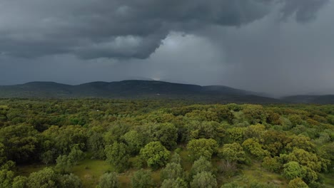 Aufsteigender-Flug-In-Grünen,-Von-Bäumen-Gesäumten-Bauernhöfen-Mit-Steinmauern-Und-Parzellen-Mit-Nutzbäumen,-Die-Einen-Großen-Sturm-Mit-Grauen-Wolken-Entdecken-Und-In-Den-Bergen-Am-Frühlingsnachmittag-In-Avila,-Spanien-Regnen