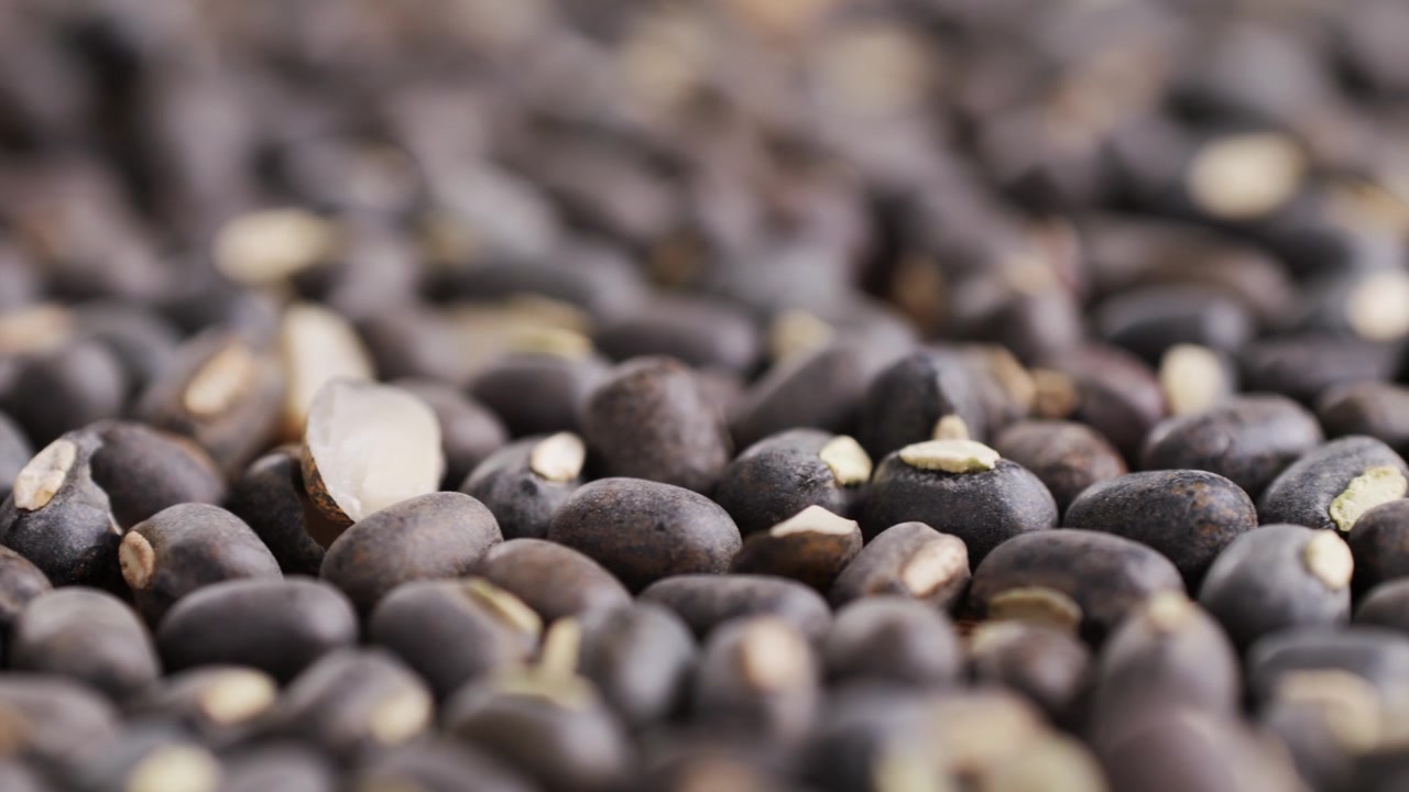 Close-up of Raw Black Beans Rotating Slowly