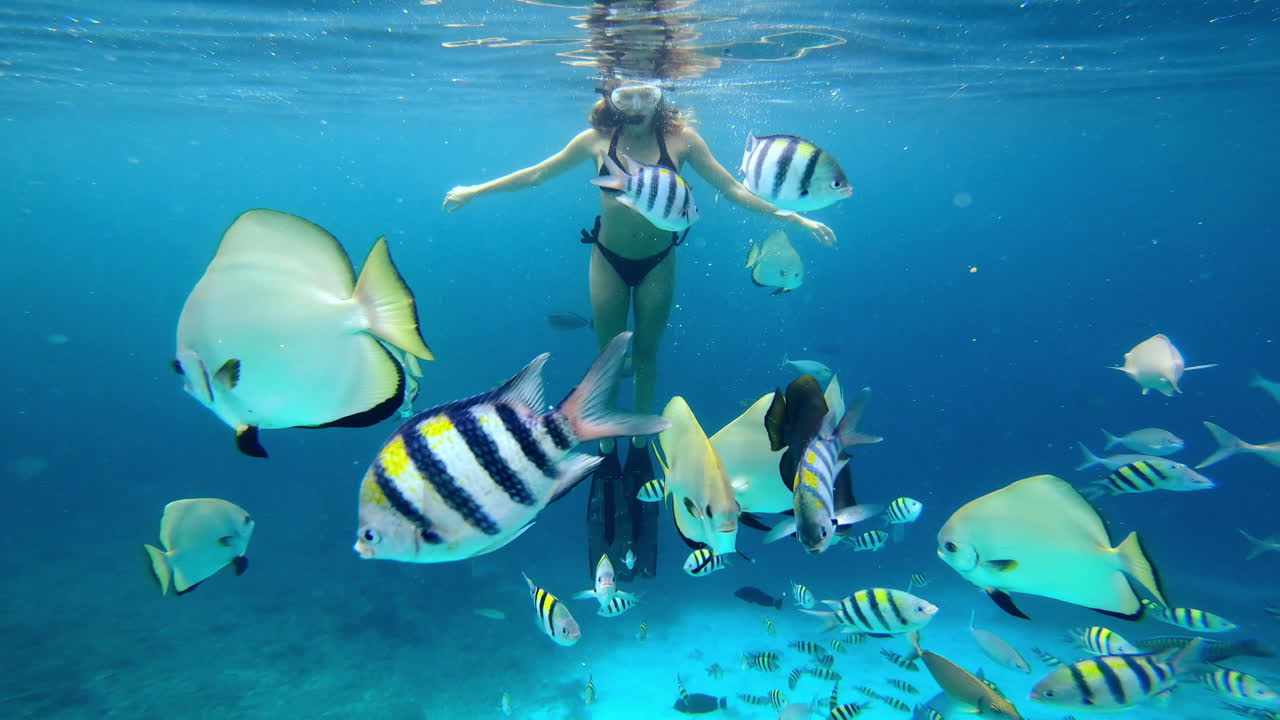 물  에서 물고기 와 함께 스노클링 하는 여자