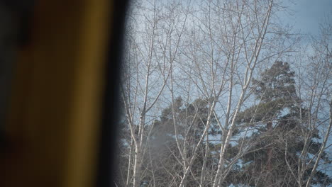 window view from moving train shows winter forest as camera tilts upward, pine crowns and bare branches set against pale blue sky, and frame edge create calm travel mood through cold landscape