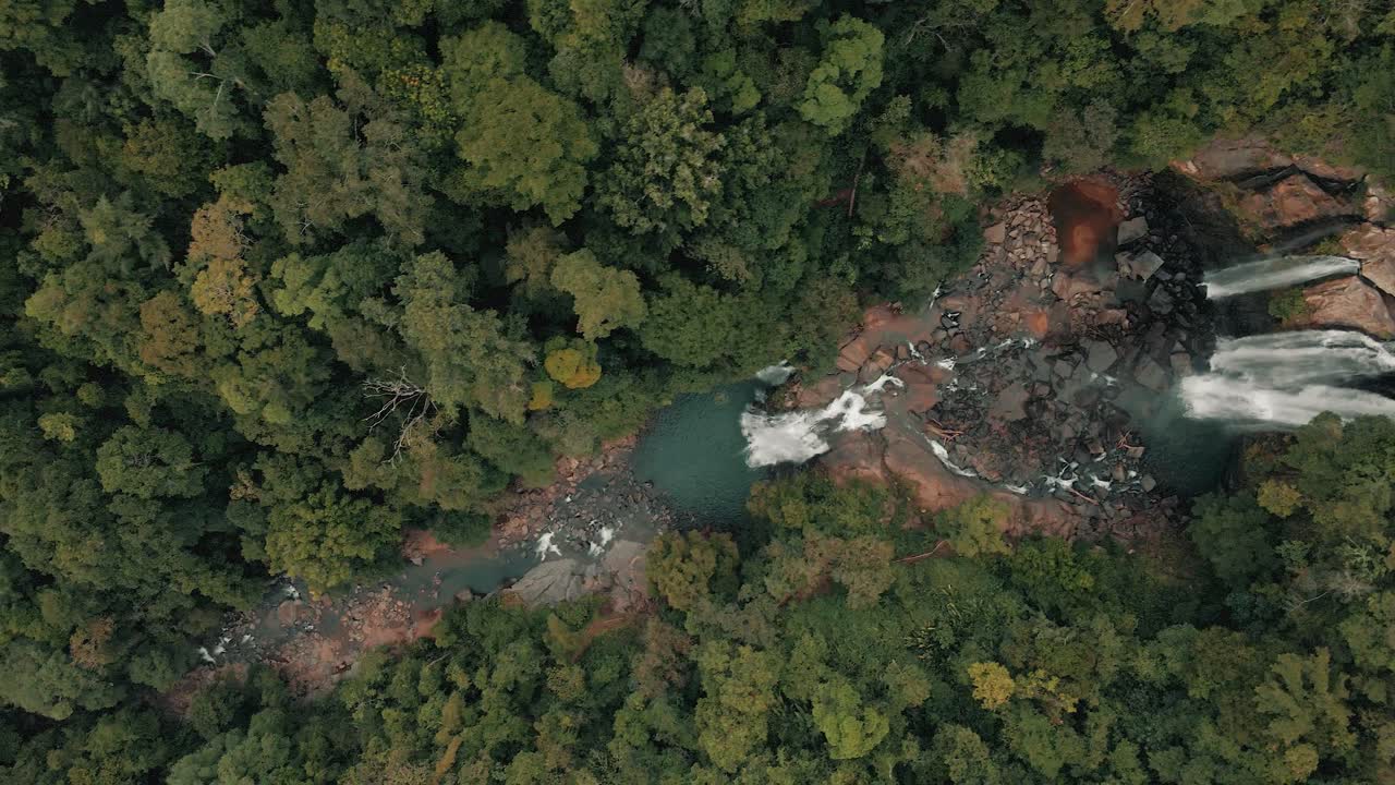 vista superior de la exuberante vegetación en la selva en el parque natural de las cascadas de nauyaca - atracción turística en costa rica