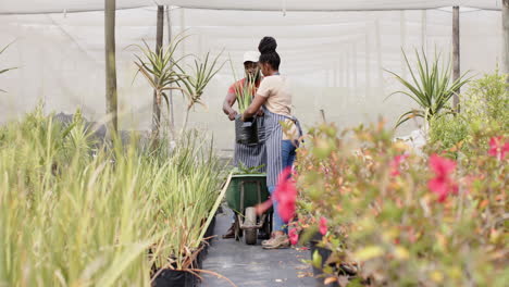 in greenhouse nursery, gardeners in aprons discussing plant care techniques