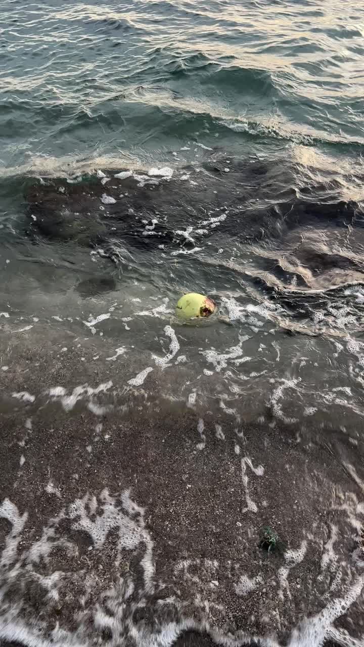 Coco Chegando à Praia de Areia com Ondas Suaves