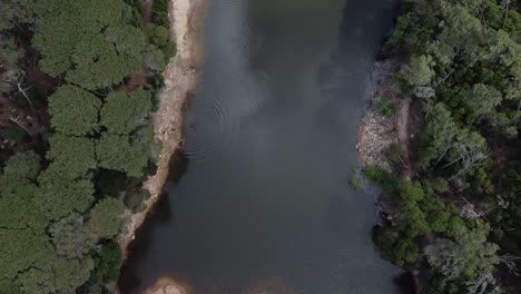 Vista-Desde-Arriba-De-Una-Tranquila-Laguna-Rodeada-De-Vegetación-En-Un-Día-Nublado,-Parque-Nacional-De-Sintra