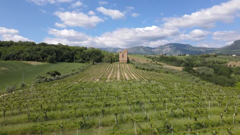 wide angle drone shot going backwards of a vineyard with an ancient castle located on the property surrounded by mountains in the distance shot in the countryside of abruzzo in italy