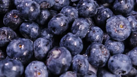 juicy blueberries are perfect for making smoothies delicious desserts and healthy snacks. juicy blueberries are perfect for making smoothies, delicious desserts, and healthy snacks