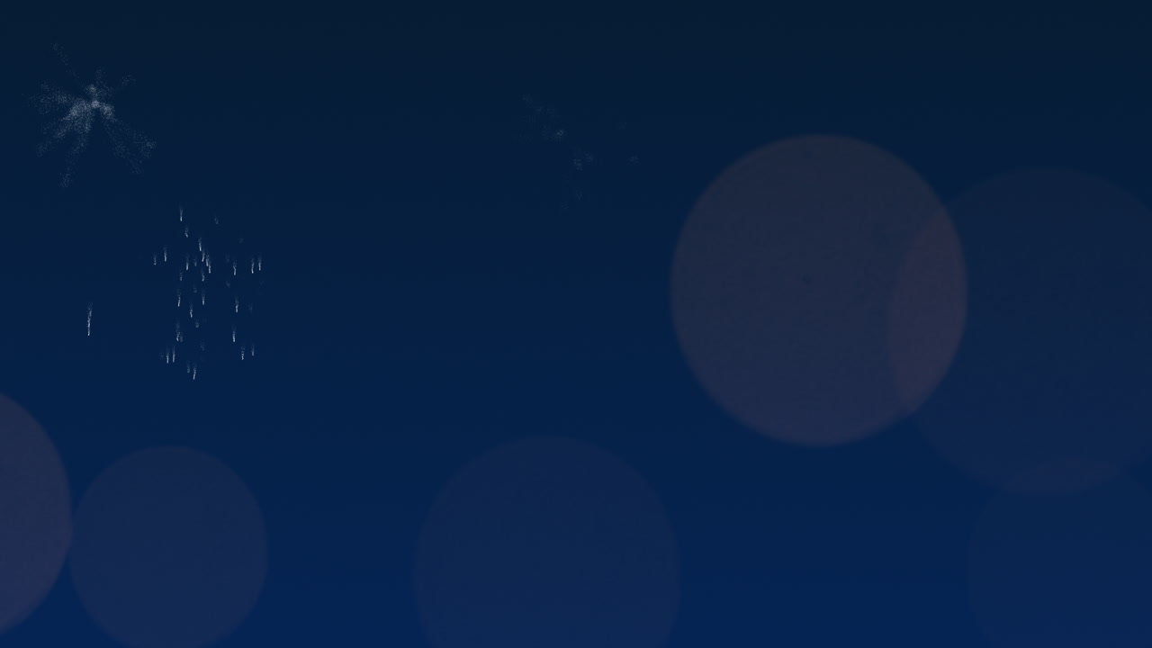 밤하늘에 불꽃 놀이