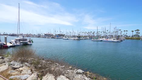 barcos en el puerto de ventura en ventura, california