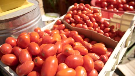 mercado local vendiendo tomates frescos en un mercado de américa del sur