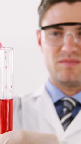 técnico de laboratorio chequeando una muestra de sangre en un tubo