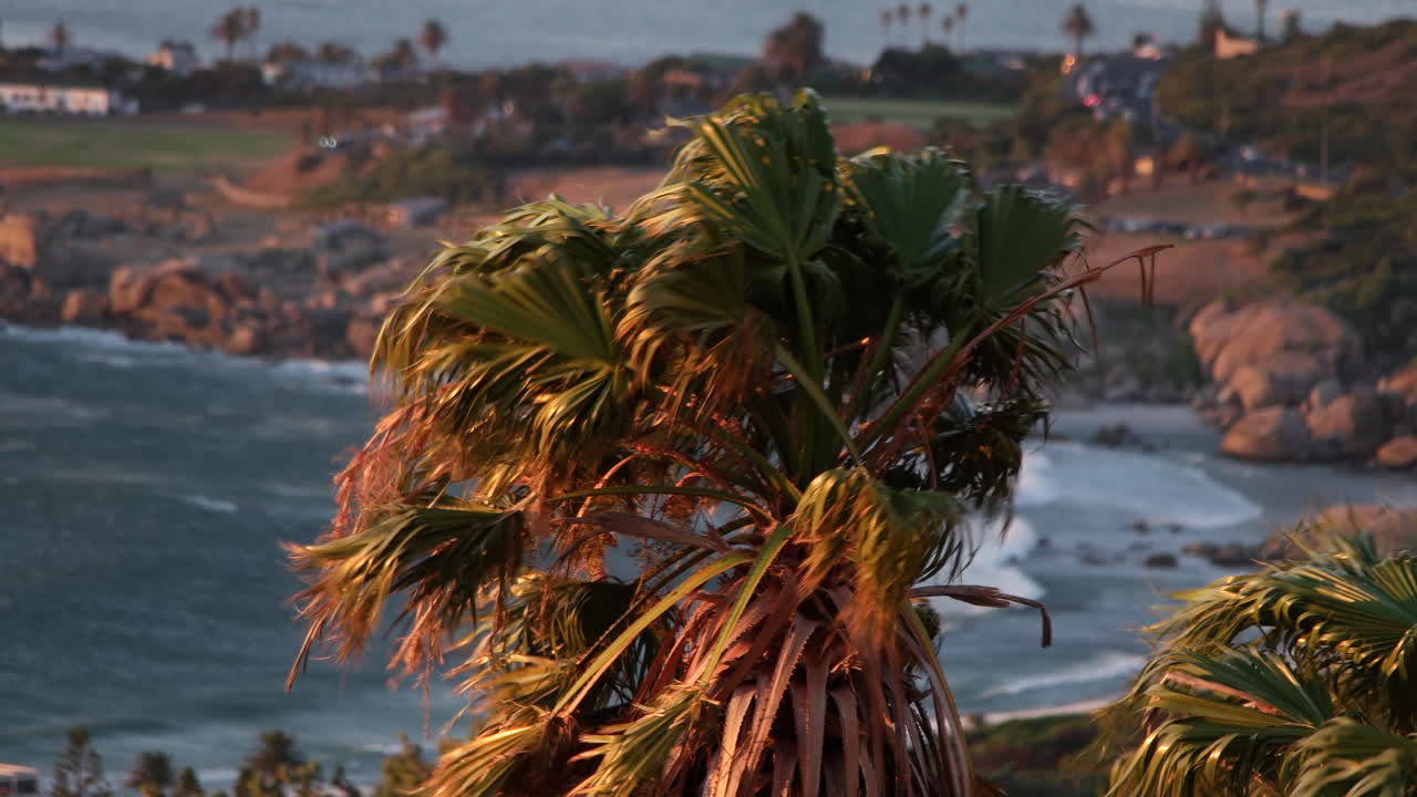fuerte viento meciéndose con el viento con la playa de camps bay en el fondo en ciudad del cabo, sudáfrica