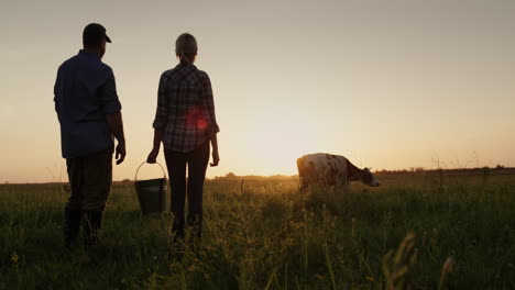 a couple of farmers admire their cow grazing in a meadow