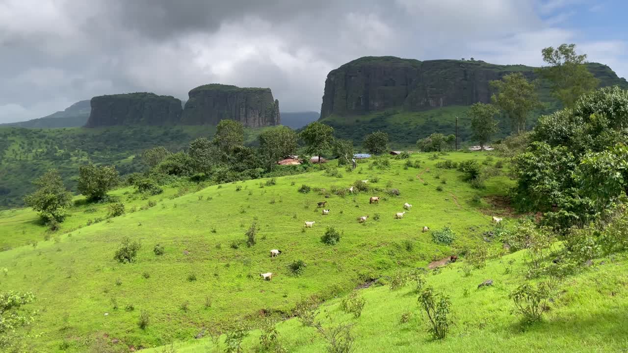 paisaje con rebaño de cabras, formación rocosa en el fondo