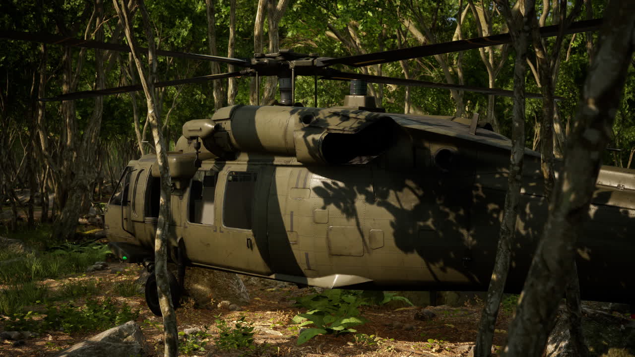 Elicottero militare nella giungla fitta