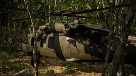 military helicopter in deep jungle