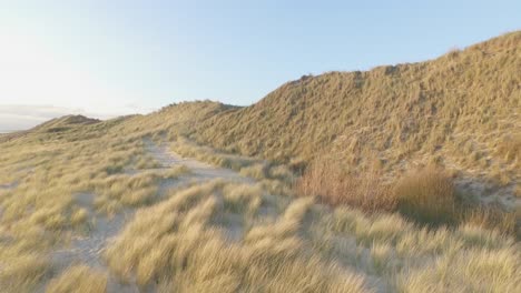 aerial: the beach between vlissingen and dishoek during sunset