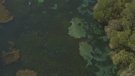 Rainbow-Springs-Florida-Luftaufnahme-V5-Aus-Der-Vogelperspektive-Entlang-Des-Flusses-Im-State-Park-–-DJI-Inspire-2,-X7,-6k-–-März-2020