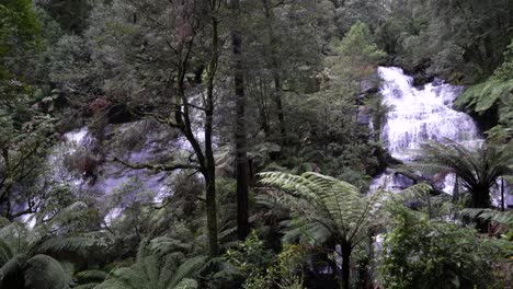 Zwei-Wasserfälle,-Die-Im-Regenwald-Fließen