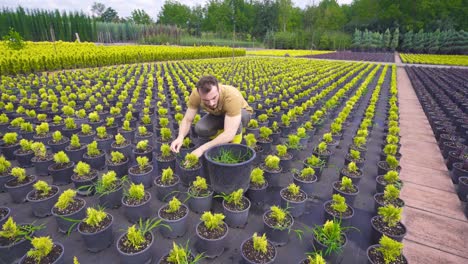 joven jardinero trabajando en el invernadero.
