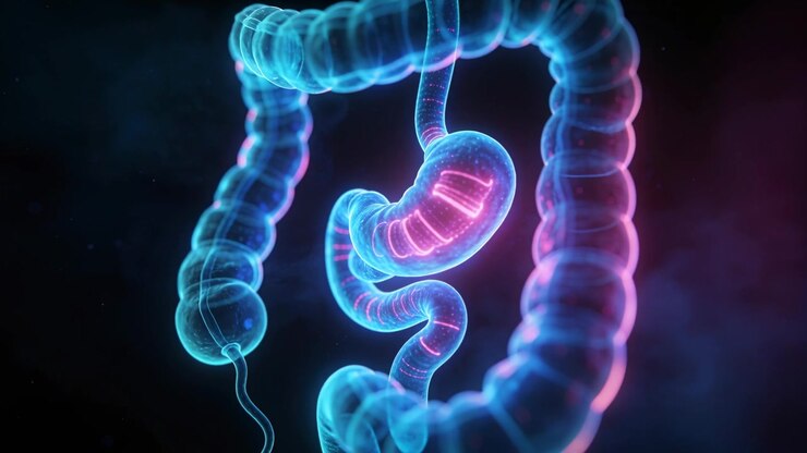 Camera dollying, digestive tract emitting pulsing neon bands revealing 3D, colon, stomach visible