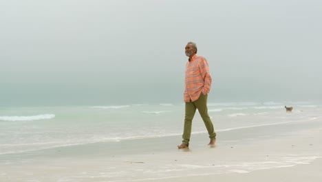 side view of active senior african american man with hand in pocket walking on the beach 4k