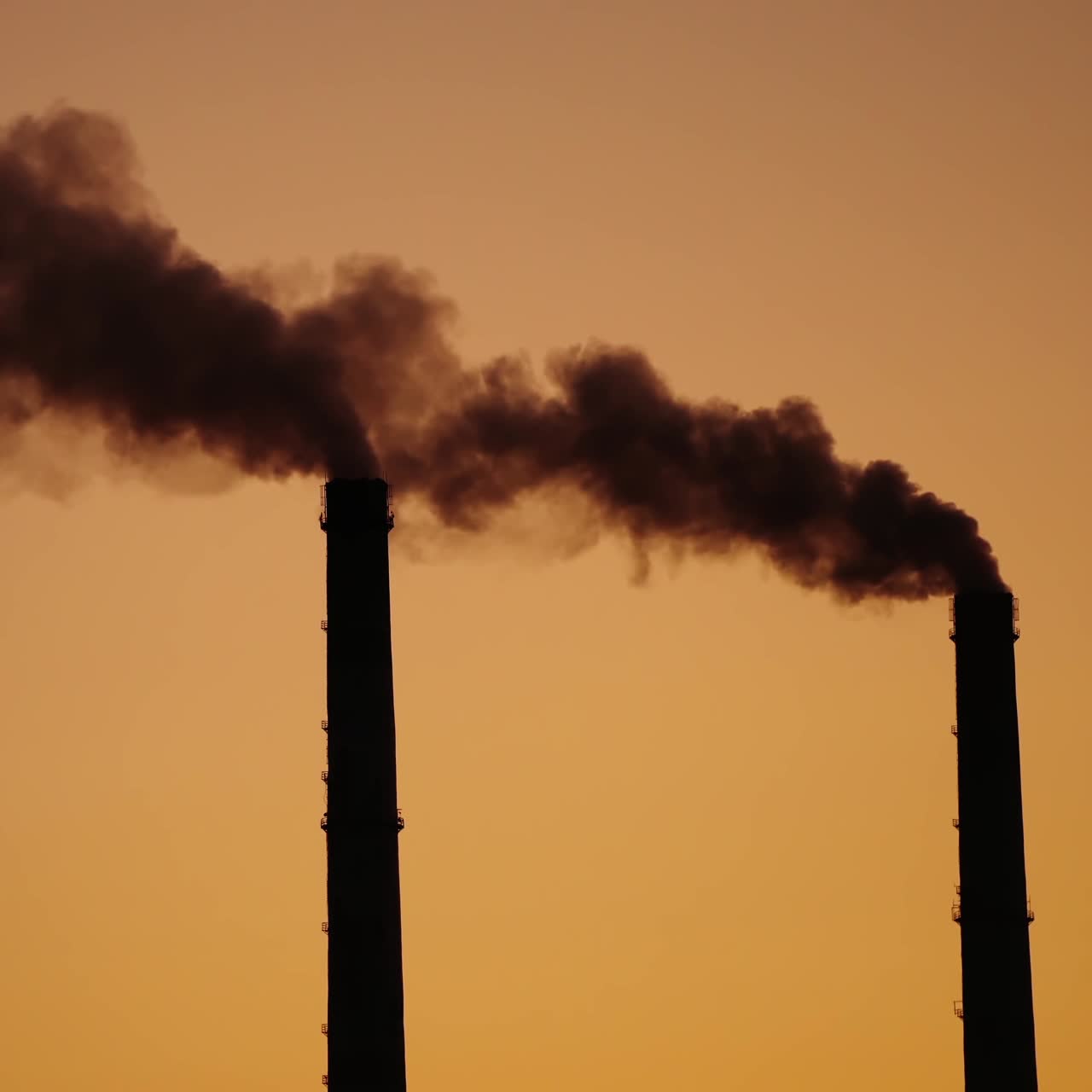 The steaming tube or pipe of the plant, factory or thermal power station on the background of dark sky. Monochrome video.