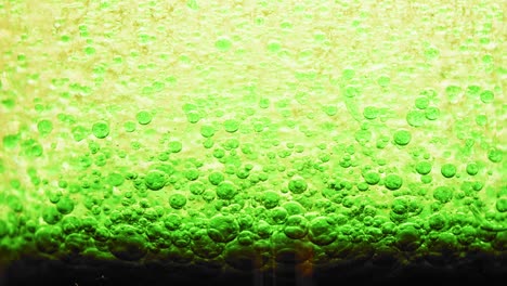 macro shot of dark green bubbles setting on ground of water with a bright yellow background