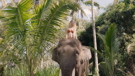 hermosa mujer montando un elefante en la jungla explorando el exótico bosque tropical divirtiéndose en una aventura con un compañero animal 4k