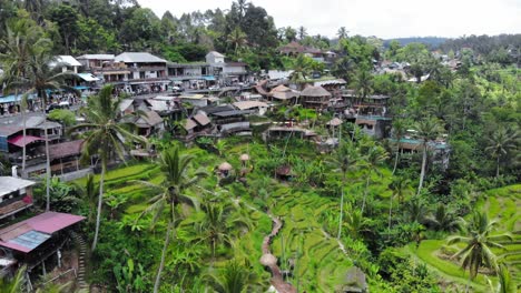 Ciudad-Balinesa-Mezclándose-Con-El-Entorno-Natural-Con-Terrazas-De-Arroz-Y-Palmeras-En-La-Ladera,-Pendiente,-Plataforma-Rodante-Aérea,-Adelante