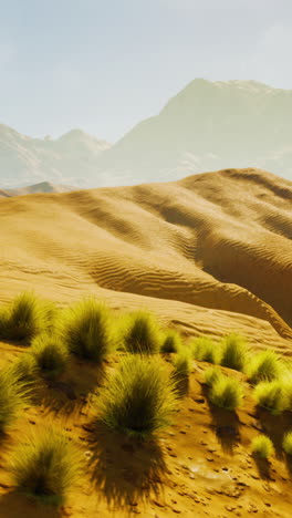 a stunning view of sand dunes in the desert, with mountains in the background