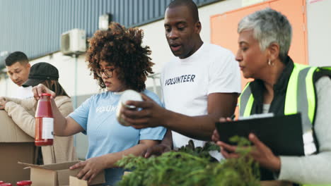 Gente-Voluntaria,-Trabajo-En-Equipo