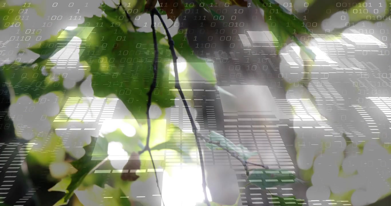 Leaves filling front with frames shifting, binary code rising, person behind pane revealing tech