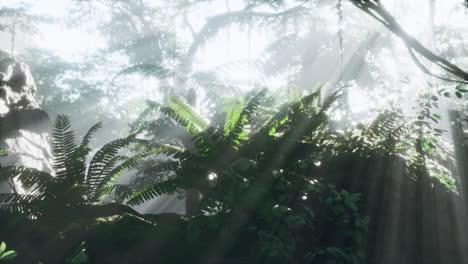 photo-inside-a-rainforest-covered-in-bright-green-moss