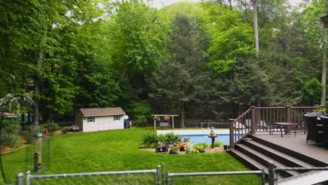 a lush suburban yard in summer