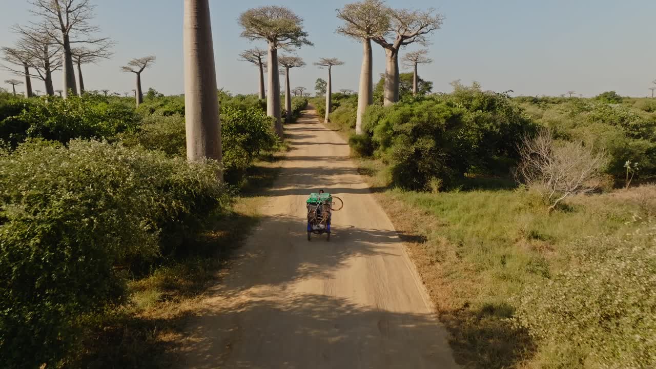 vieja bicicleta tuk tuk conduciendo en una carretera polvorienta bajo enormes árboles de baobab en la avenida de los baobabs en madagascar