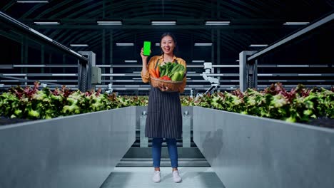 cuerpo lleno de agricultora asiática con canasta de verduras que muestra pantalla verde teléfono móvil mientras está de pie en la granja inteligente
