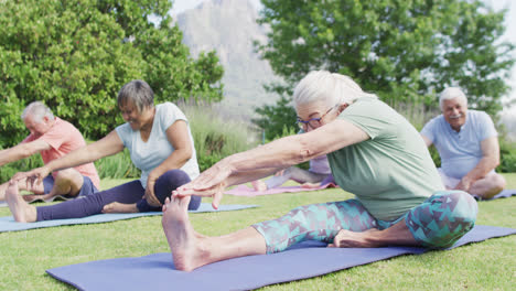 diverse group of happy male and female seniors stretching on yoga mats in sunny garden, slow motion