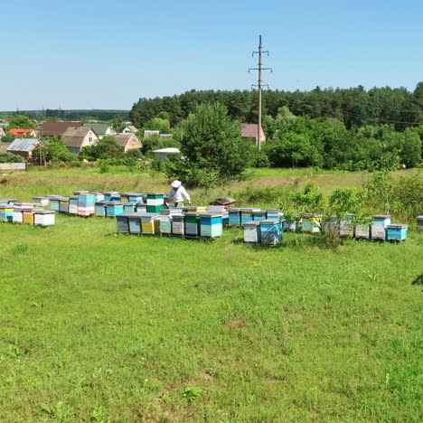 apiary on field in summer. beekeeper working near the beehives on the background of rural houses. beekeeping process. aerial view.