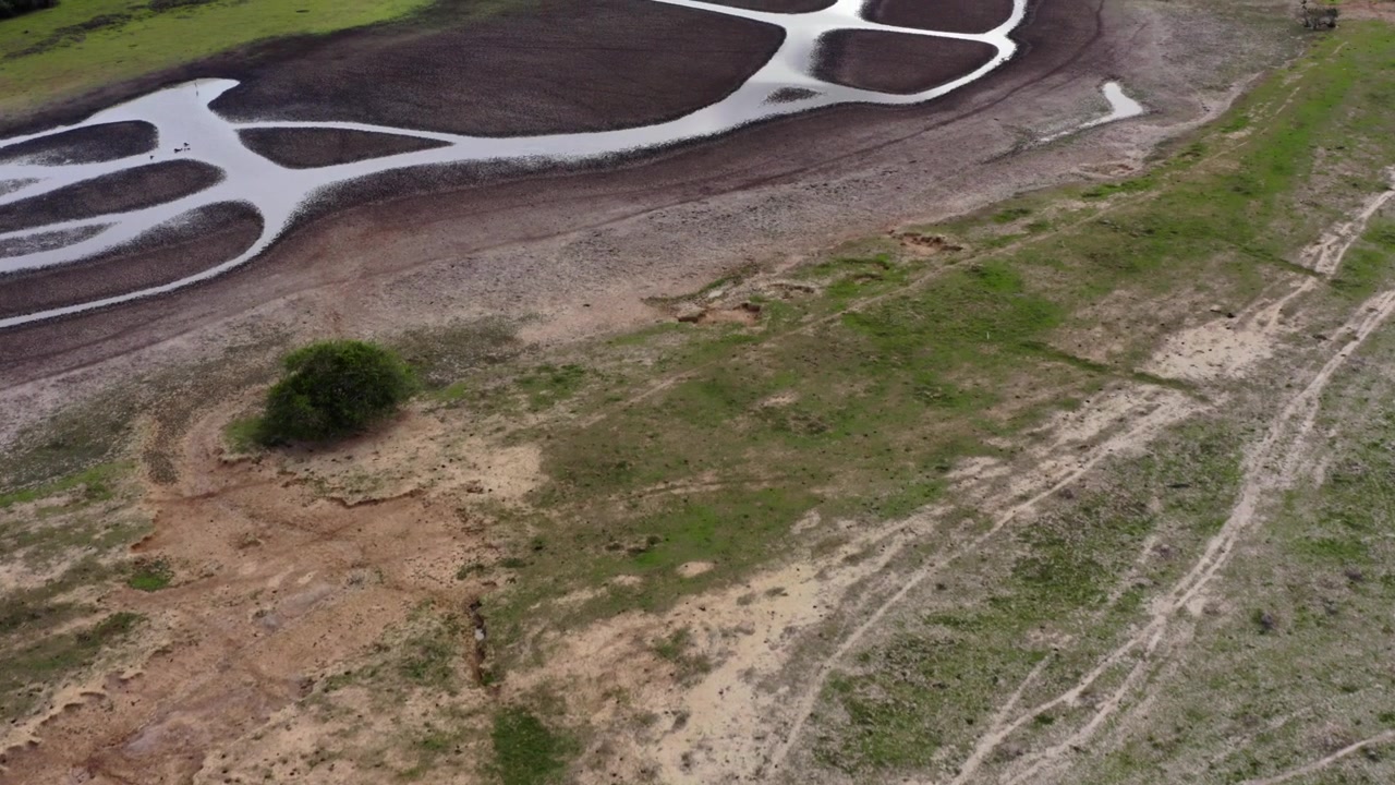 Branching wetland channels cut through cracked, drought exposed mud bordered by dry grassland in the Colombian Llanos, high angle push forward looking straight down