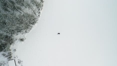 Hombre-Con-Dos-Perros-Negros-Pasa-Junto-A-árboles-Cubiertos-De-Nieve-A-Través-De-Un-Lago-Congelado-Y-Cubierto-De-Nieve