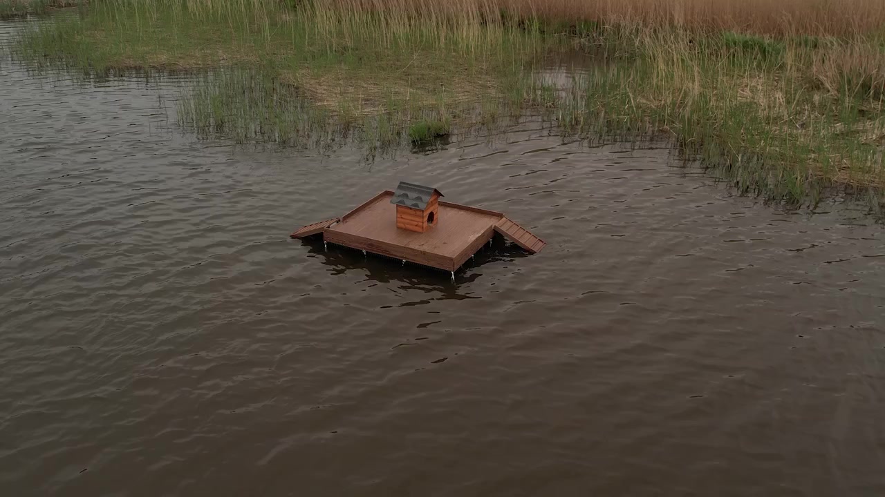 Small wooden duck house floating on rippled lake water near reeds, offering shelter for waterfowl in a quiet wetland setting with copy space.