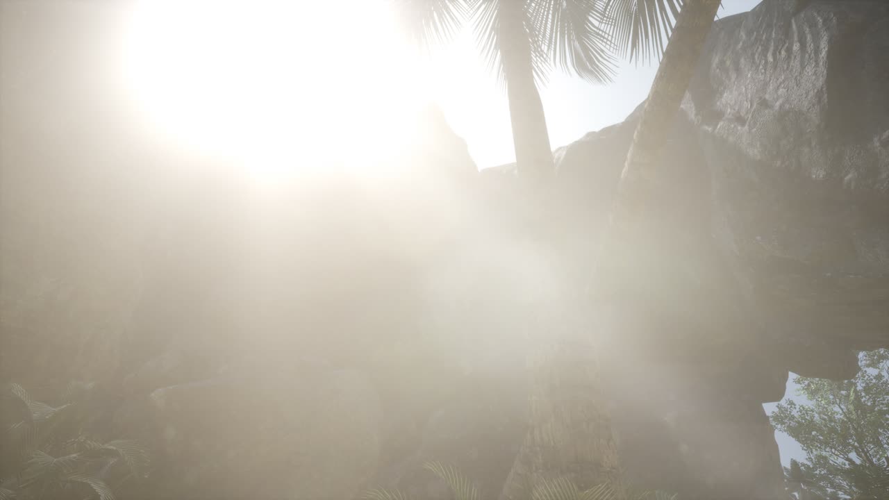 grandes palmeras en la cueva de piedra con rayos de luz solar