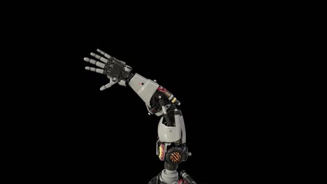 bionic arm showing its functionality.