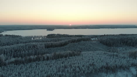 aerial, drone shot, over snowy trees and finnish forest, at sunset, towards the frozen lake saimaa, on a sunny, winter evening, at pyhaselka, vuoniemi cape, in pohjois-karjala, finland